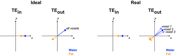 Phase errors in Dixon sequence