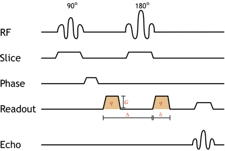 spin echo sequence diagram