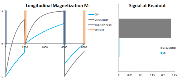 mri-physics-tissue-contrast-in-mri-xrayphysics